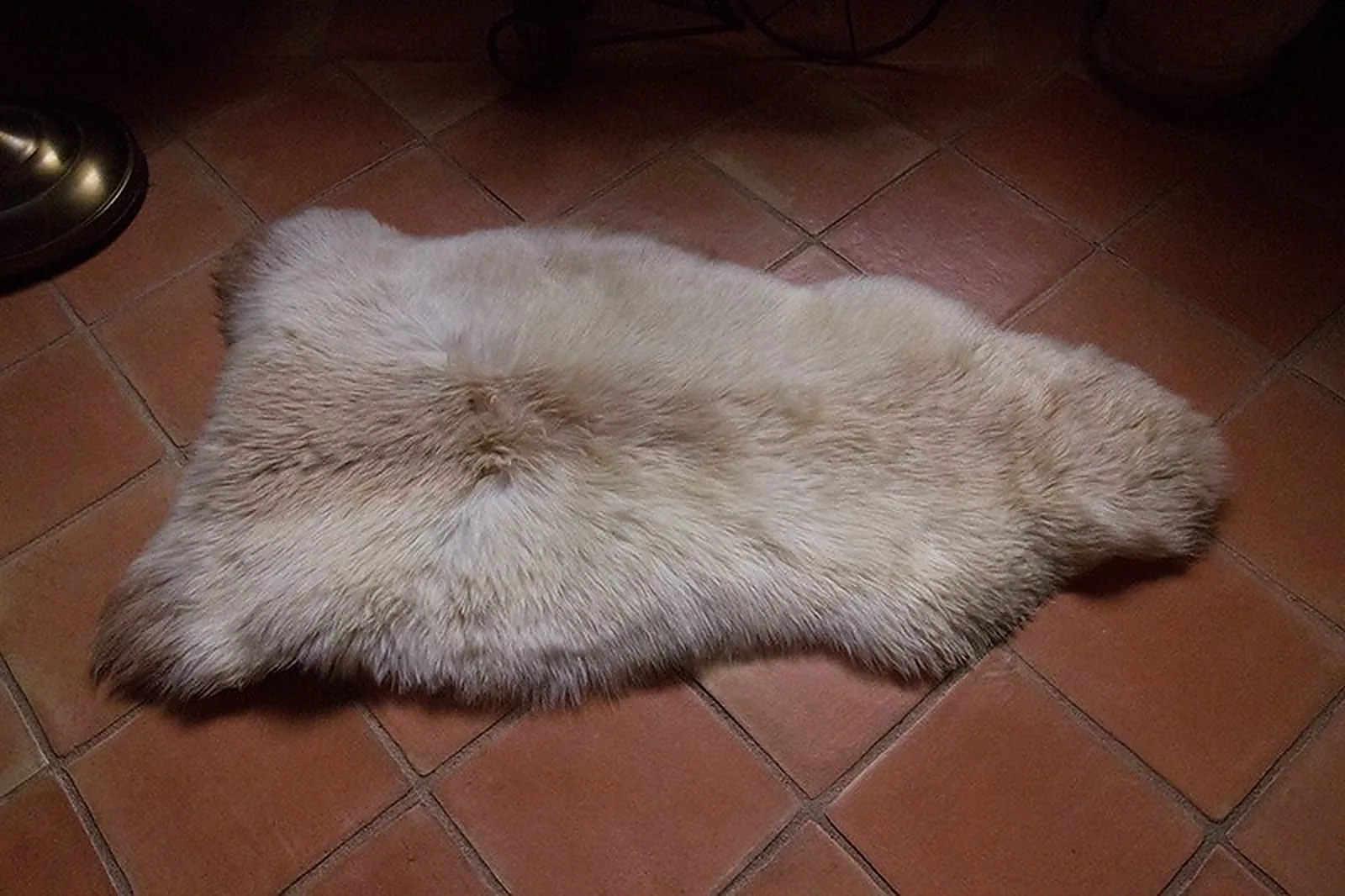 Peau de mouton Albanian 90-100cm - Ref: ALB-4-0126