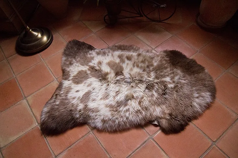 Peau de mouton Albanian 90-100cm - Ref: ALB-5-0126
