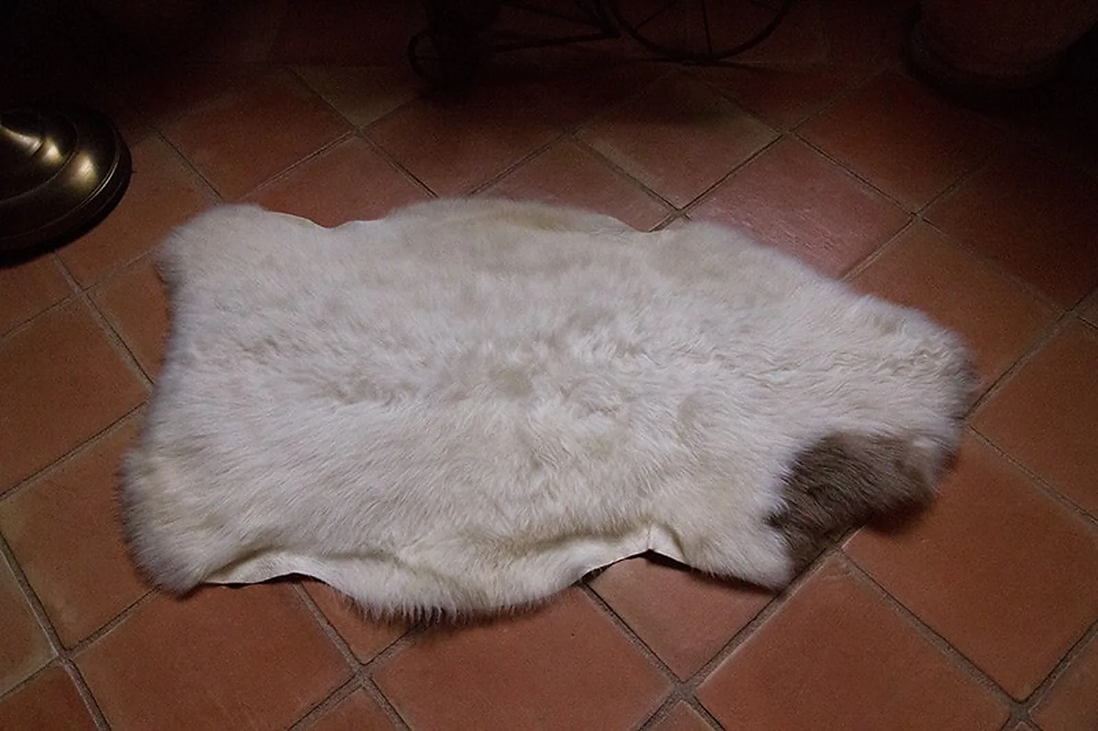 Peau de mouton Albanian 90/50cm - Ref: ALB-8-0126