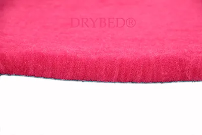 Tapis pour chien Premium