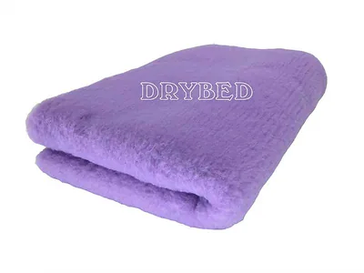 Tapis chien Drybed ECO